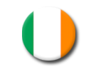flag-Irish-interimm
